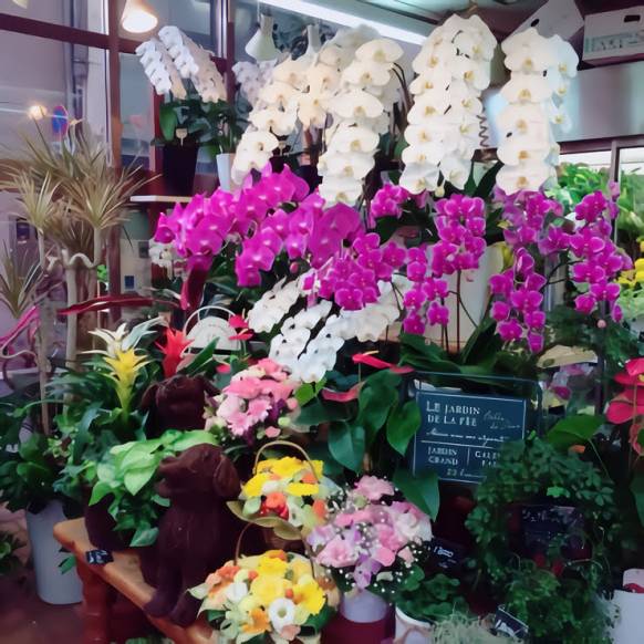 「アロマブルーム」　（岡山県倉敷市）の花屋店舗写真2