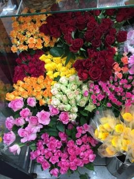 本日入荷❀ ～切り花～｜「アロマブルーム」　（岡山県倉敷市の花キューピット加盟店 花屋）のブログ