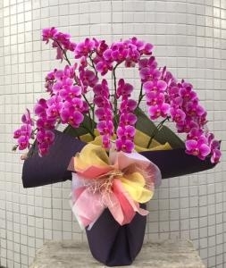 お歳暮に贈る花｜「アロマブルーム」　（岡山県倉敷市の花キューピット加盟店 花屋）のブログ