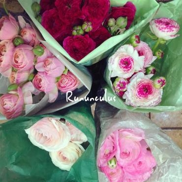 ピンク♡ラナンキュラス｜「アロマブルーム」　（岡山県倉敷市の花キューピット加盟店 花屋）のブログ