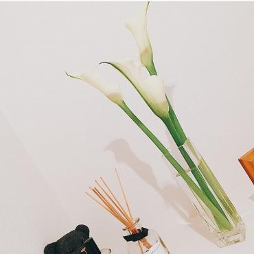カラー｜「アロマブルーム」　（岡山県倉敷市の花キューピット加盟店 花屋）のブログ