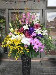 もうすぐ春ですね！｜「アロマブルーム」　（岡山県倉敷市の花キューピット加盟店 花屋）のブログ