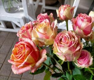 バラは数多く取り揃えております(^^♪｜「アロマブルーム」　（岡山県倉敷市の花キューピット加盟店 花屋）のブログ