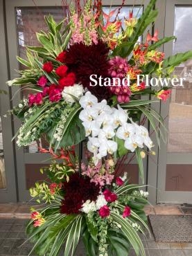 ❀2段スタンド花✿｜「アロマブルーム」　（岡山県倉敷市の花キューピット加盟店 花屋）のブログ