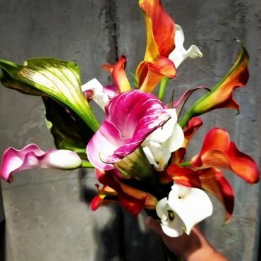 色鮮やかなカラーのお花♡♥｜「アロマブルーム」　（岡山県倉敷市の花キューピット加盟店 花屋）のブログ